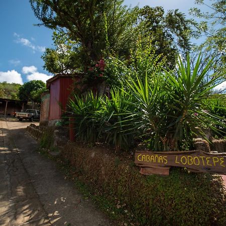 1 Bedroom Cabin, 3 Blocks From Beach And Center Of San Juan サン・フアン・デル・スル エクステリア 写真