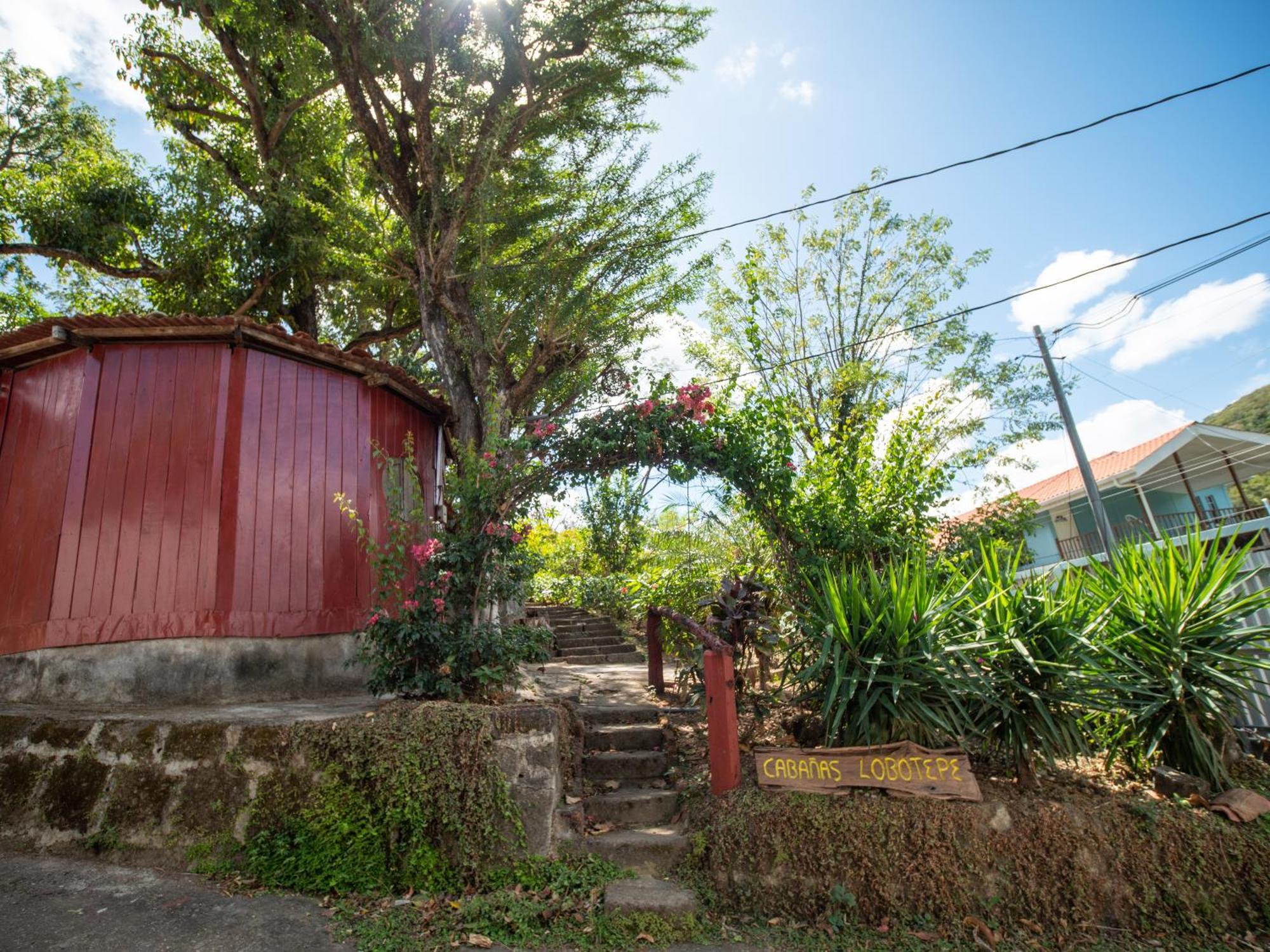 1 Bedroom Cabin, 3 Blocks From Beach And Center Of San Juan サン・フアン・デル・スル エクステリア 写真